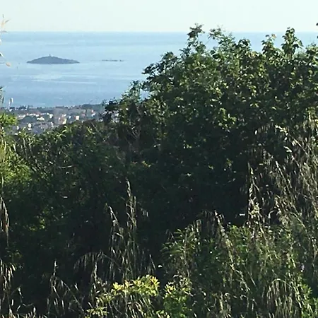 Vue à La Campagne Ollioules